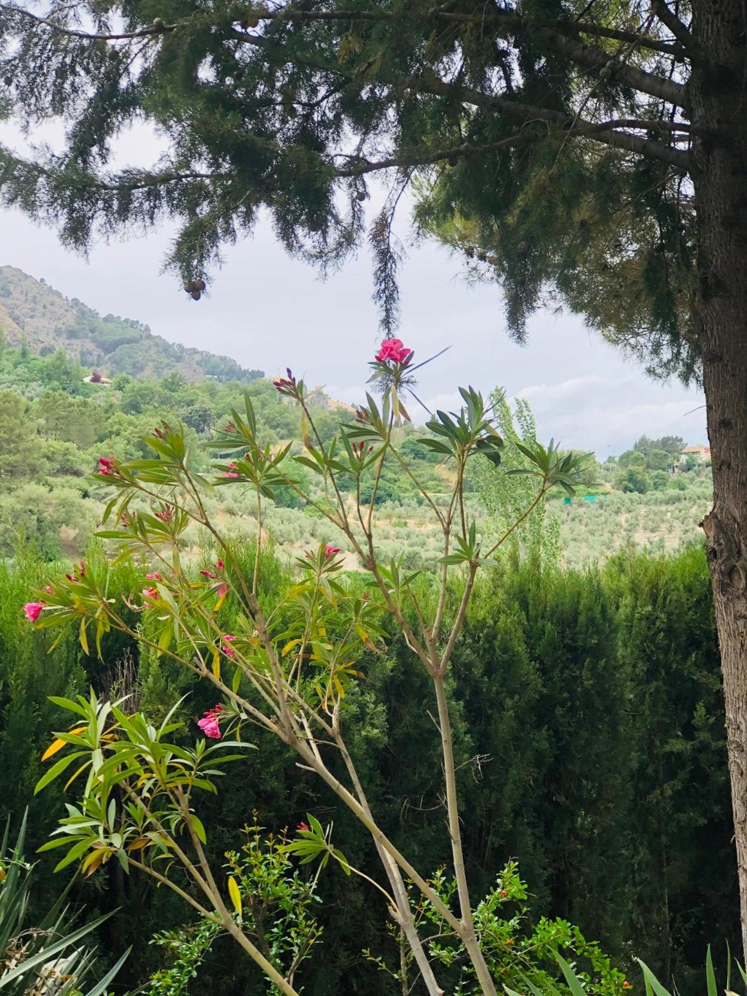 فيلا Nueva Cazorla Mirador Cerro Del Escribano لا إرويلا المظهر الخارجي الصورة
