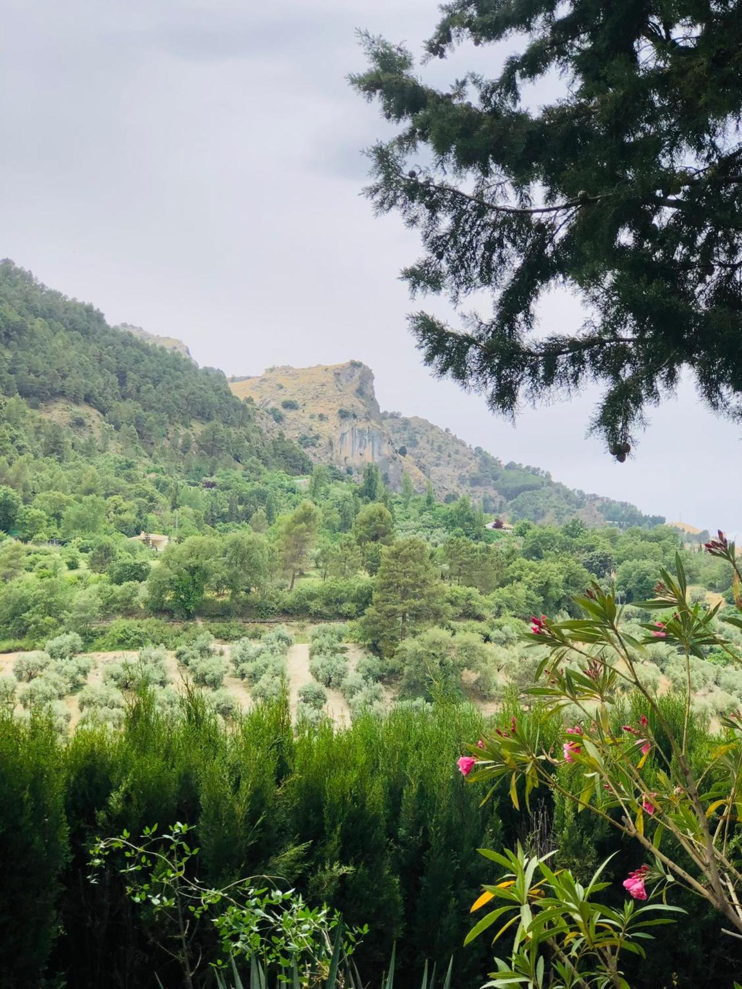 فيلا Nueva Cazorla Mirador Cerro Del Escribano لا إرويلا المظهر الخارجي الصورة